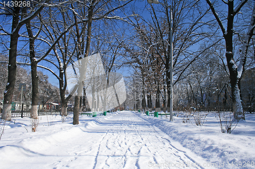 Image of landscape park in winter 