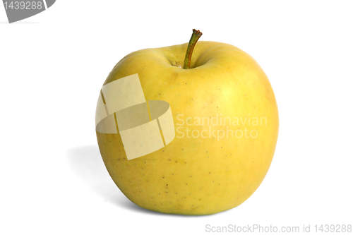 Image of apple on white