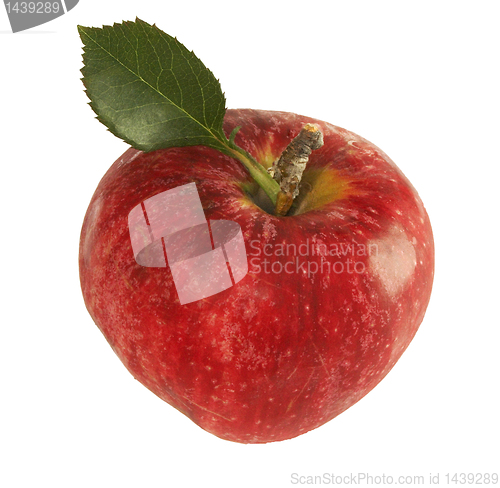 Image of  apple isolated