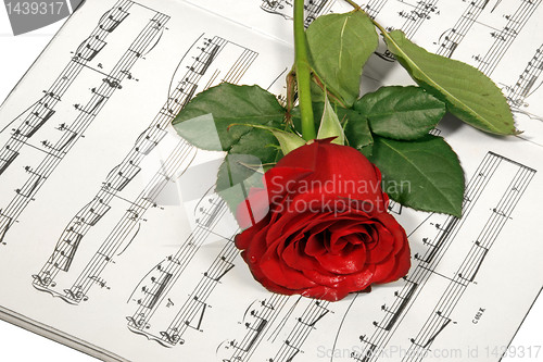 Image of rose over note