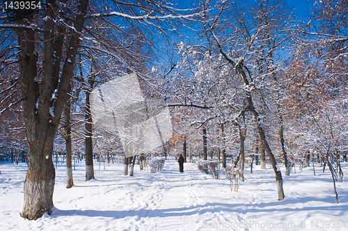 Image of landscape park in winter 