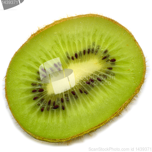 Image of kiwi slice