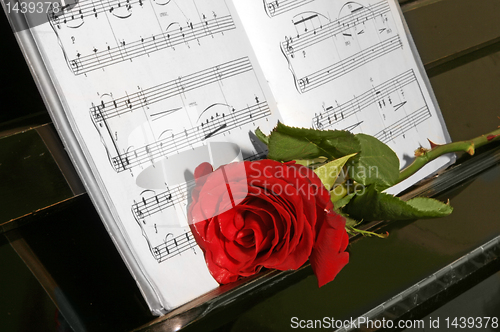 Image of rose on piano 