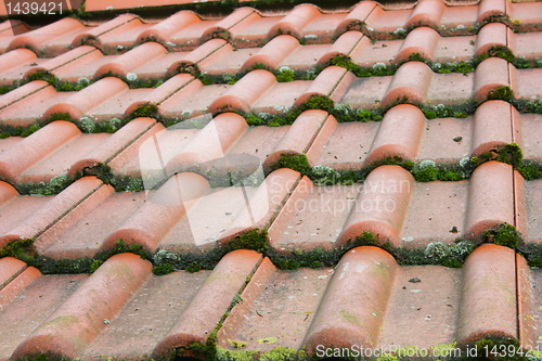 Image of Tile roof 