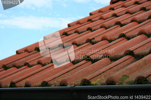 Image of Tile roof 