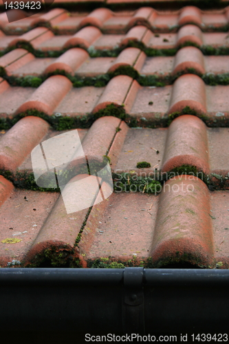 Image of Tile roof covered