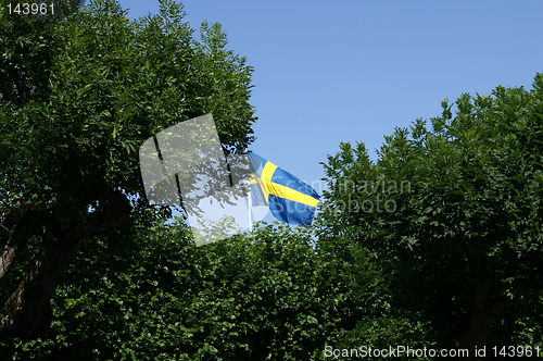 Image of Swedish flag