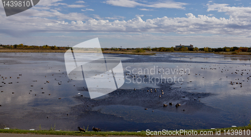 Image of The pond