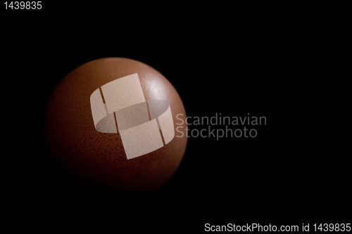 Image of Celestial Egg