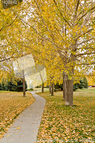 Image of Autumn in Regina