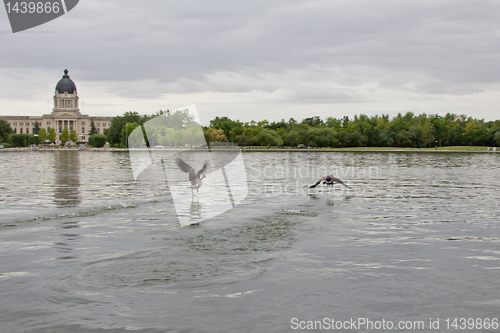 Image of Racing on water