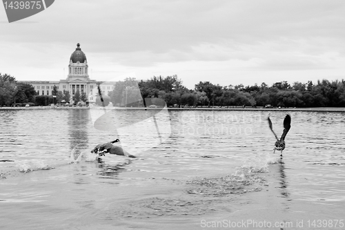 Image of Running on water