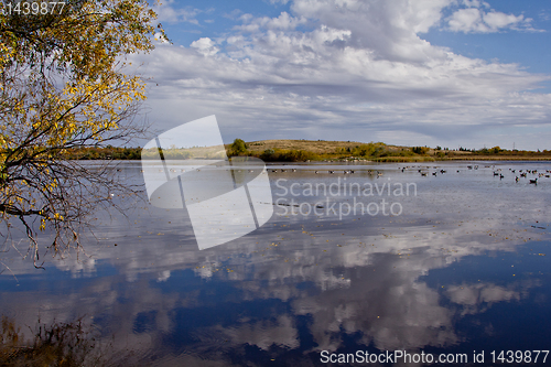 Image of The pond