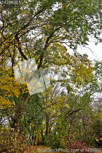 Image of Autumn in Regina