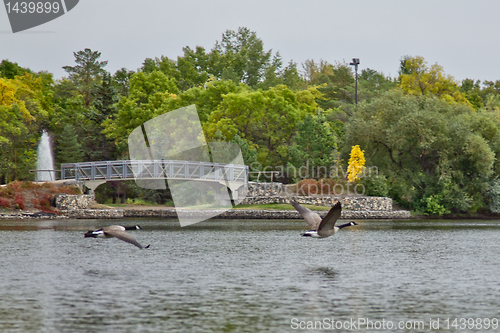 Image of Running on water