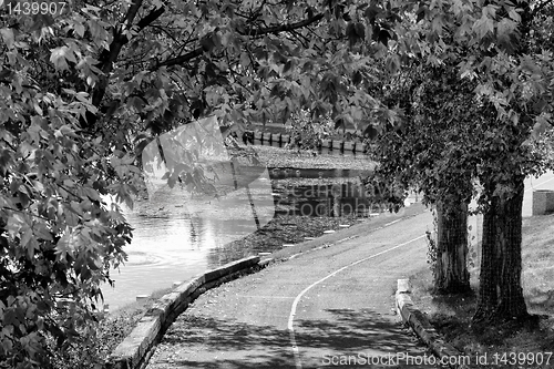 Image of The walkway by the pond