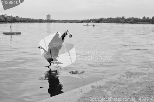 Image of Walking on water