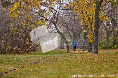 Image of Autumn in Regina