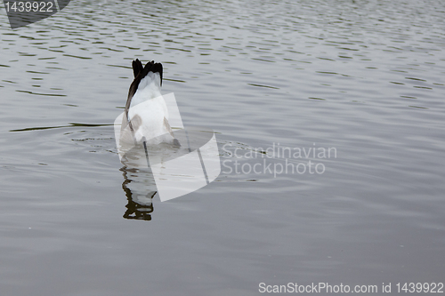 Image of Fishing