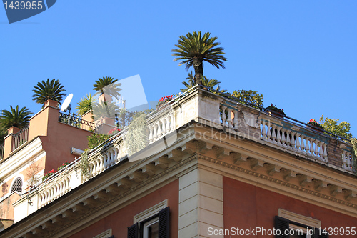 Image of Rooftop garden in Rome