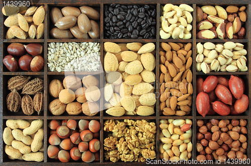 Image of Nuts