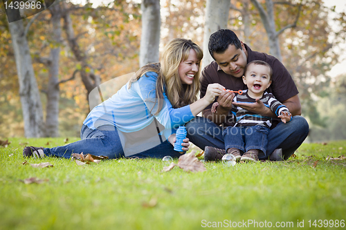 Image of Happy Mixed Race Ethnic Family Playing with Bubbles In The Park