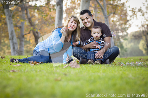 Image of Happy Mixed Race Ethnic Family Playing with Bubbles In The Park