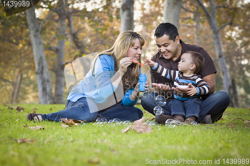 Image of Happy Mixed Race Ethnic Family Playing with Bubbles In The Park