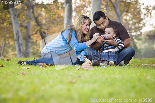 Image of Happy Mixed Race Ethnic Family Playing with Bubbles In The Park