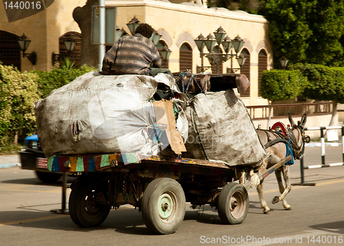 Image of Zabbaleen trash collectors on horse and cart