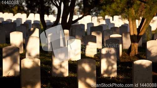Image of Row of grave stones in Arlington