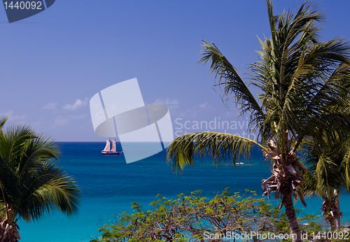 Image of Boat sails between palm trees