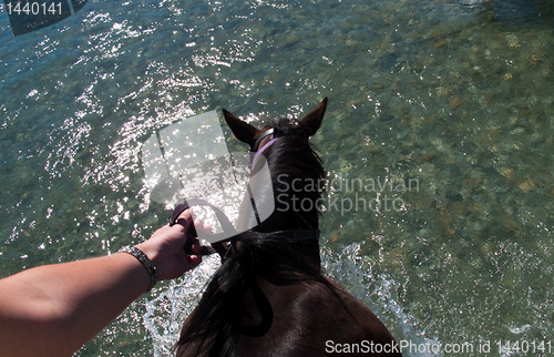 Image of Crossing river on horseback