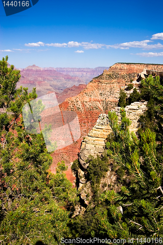 Image of  Overview of a Grand Canyon valley framed by trees