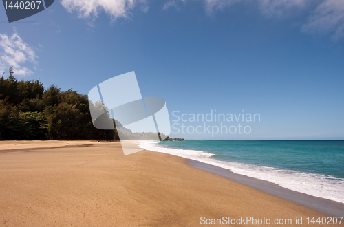 Image of Lumaha'i beach in Kauai