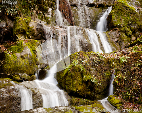 Image of Place of a Thousand Drips in Smokies