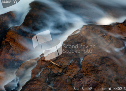 Image of Autumn leaves in river