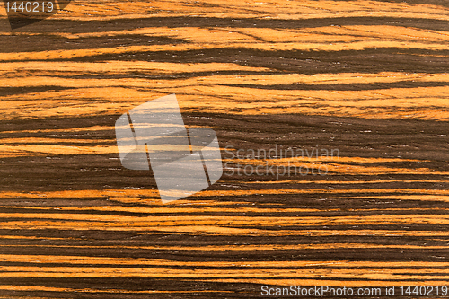 Image of Wood grain in macro