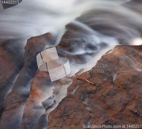 Image of Fallen twig in river