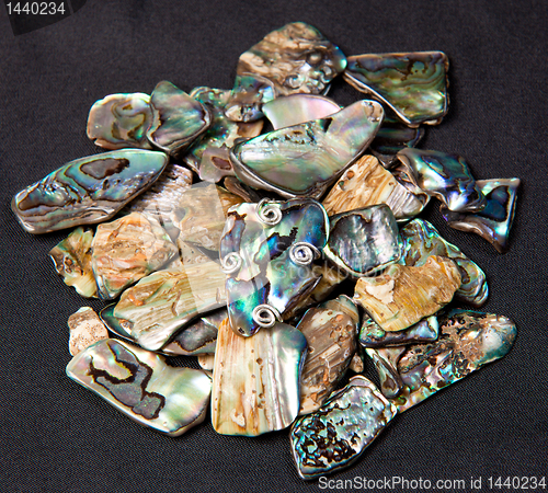 Image of Pile of Paua shells