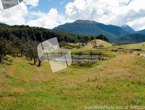 Image of Rolling countryside in New Zealand