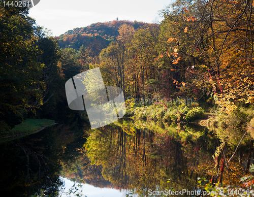 Image of Reflection of fall leaves