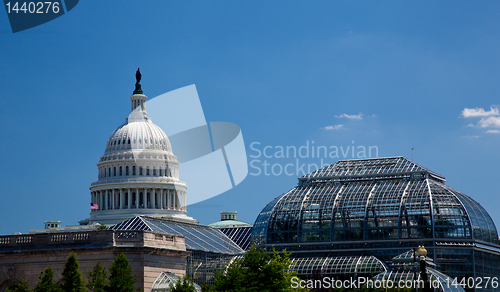 Image of Capitol Building framed by Botanic Gardens