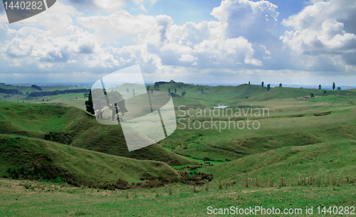 Image of Rolling countryside in New Zealand