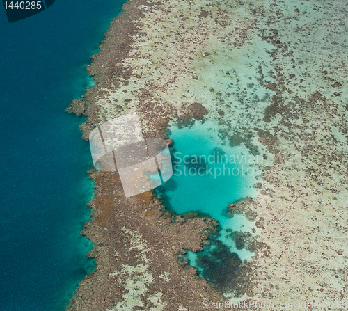 Image of Great Barrier Reef