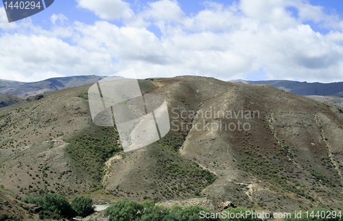 Image of Rolling countryside in New Zealand