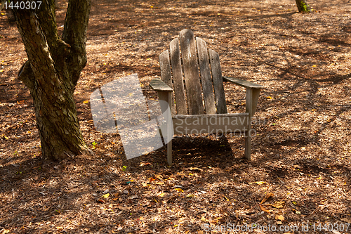 Image of Adirondack chair in forest shade