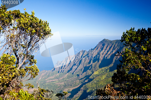 Image of Leaves frame Na Pali Coast