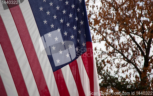 Image of US Flag in the fall