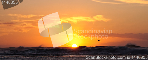 Image of Sun setting over stormy ocean with a bird